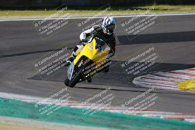 media/Mar-17-2024-Fastrack Riders (Sun) [[c7d6f8c14c]]/Level 1/Turn 6/